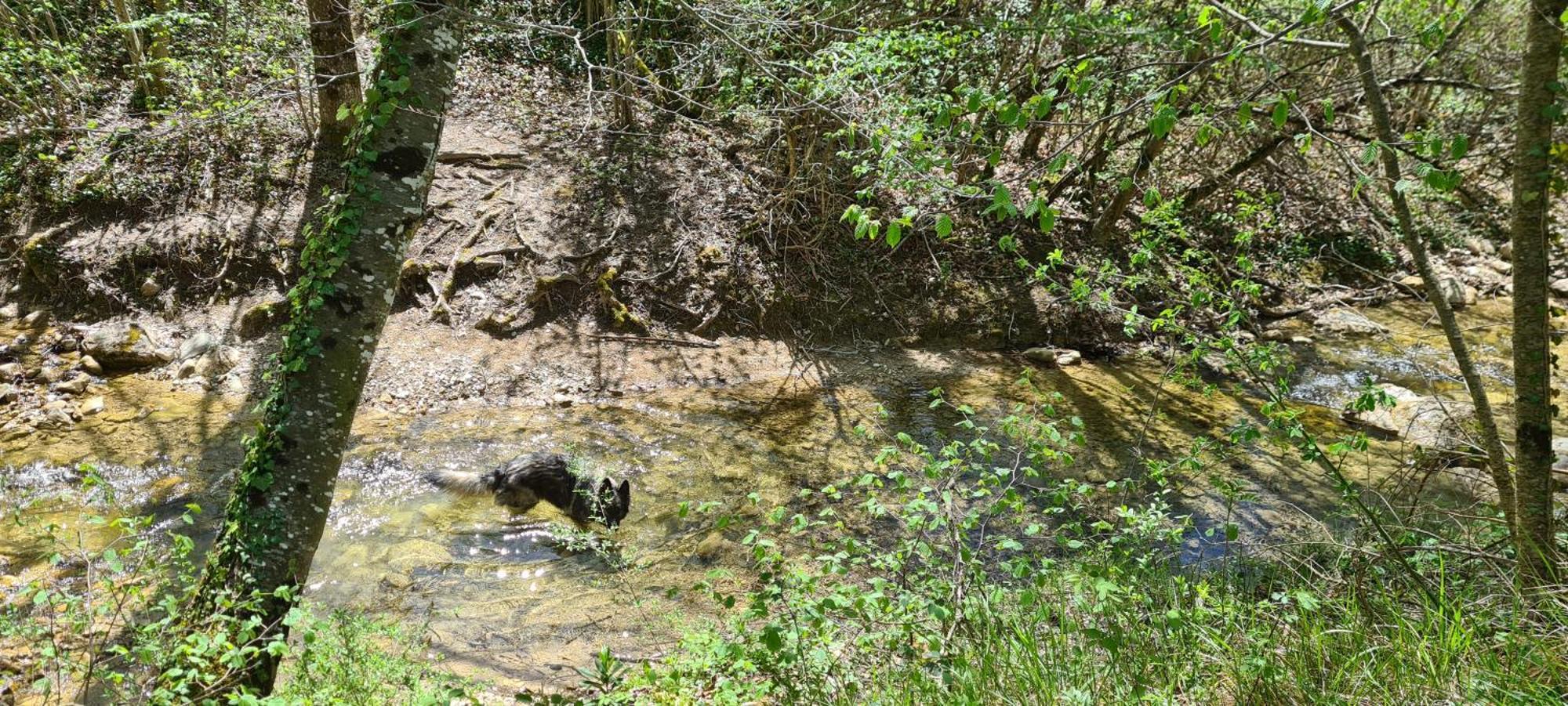 Camping Le Gallo Romain Barbieres Bagian luar foto